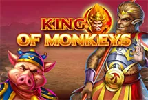RTP Playngo HIGHBET88
